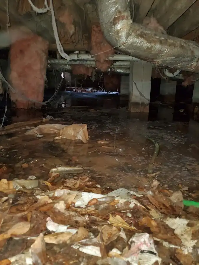 Crawl space flood assessment for Leak Detection & Repair in Washington Terrace