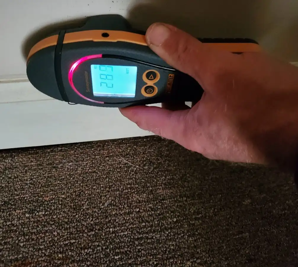 Moisture detection at baseboard during Sewage Cleanup & Sanitation in Washington Terrace